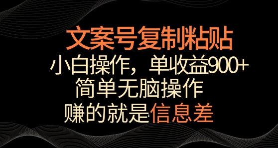 文案号掘金，简单复制粘贴，小白操作，单作品收益900+【揭秘】-大兵轻创资源库
