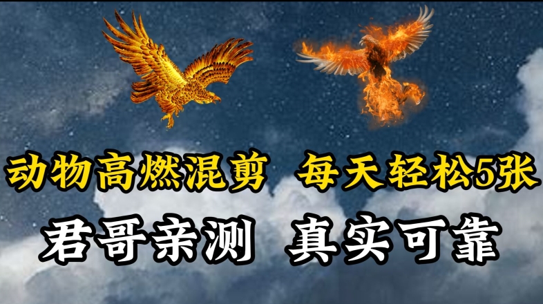 动物超燃混剪，每天轻松5张，剪辑简单大家爱看【揭秘】-大兵轻创资源库