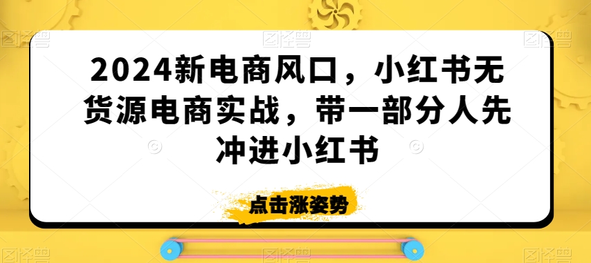 2024新电商风口，小红书无货源电商实战，带一部分人先冲进小红书-大兵轻创资源库