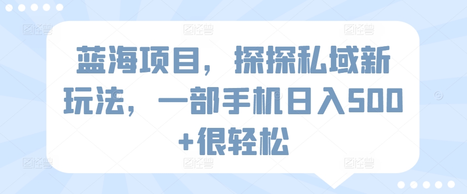 蓝海项目，探探私域新玩法，一部手机日入500+很轻松【揭秘】-大兵轻创资源库