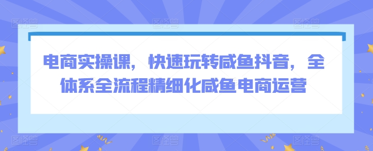 电商实操课，快速玩转咸鱼抖音，全体系全流程精细化咸鱼电商运营-大兵轻创资源库