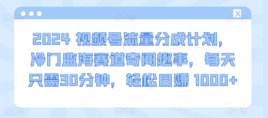 2024视频号流量分成计划，冷门监海赛道奇闻趣事，每天只需30分钟，轻松目赚 1000+【揭秘】-大兵轻创资源库
