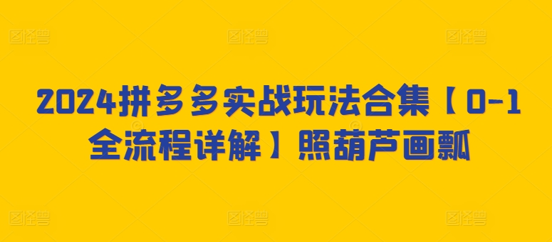 2024拼多多实战玩法合集【0-1全流程详解】照葫芦画瓢-大兵轻创资源库