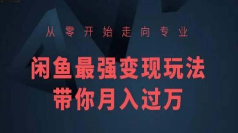 从零开始走向专业，闲鱼最强变现玩法带你月入过万-大兵轻创资源库