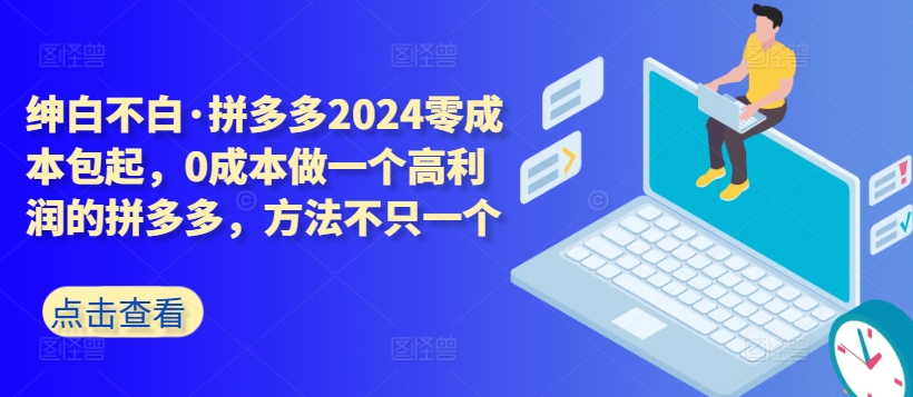 拼多多2024零成本包起，0成本做一个高利润的拼多多，方法不只一个-大兵轻创资源库