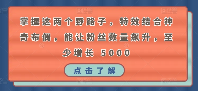 掌握这两个野路子，特效结合神奇布偶，能让粉丝数量飙升，至少增长 5000【揭秘】-大兵轻创资源库