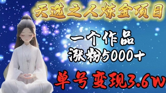 天选之人炼金项目，一个作品涨粉5000+，单号变现3.6w【揭秘】-大兵轻创资源库