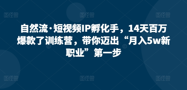 自然流·短视频IP孵化手，14天百万爆款了训练营，带你迈出“月入5w新职业”第一步-大兵轻创资源库