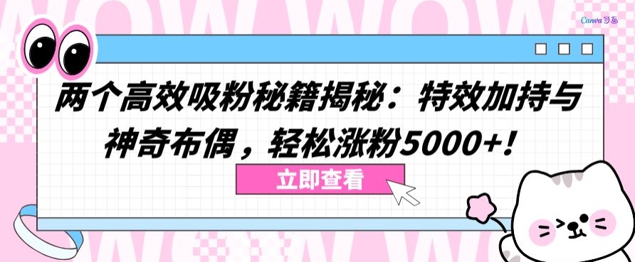 两个高效吸粉秘籍揭秘：特效加持与神奇布偶，轻松涨粉5000+【揭秘】-大兵轻创资源库