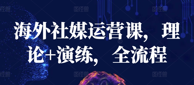 海外社媒运营课，理论+演练，全流程-大兵轻创资源库