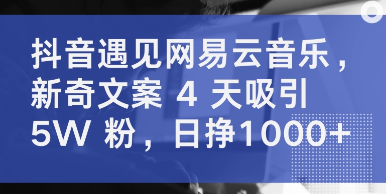 抖音遇见网易云音乐，新奇文案 4 天吸引 5W 粉，日挣1000+【揭秘】-大兵轻创资源库