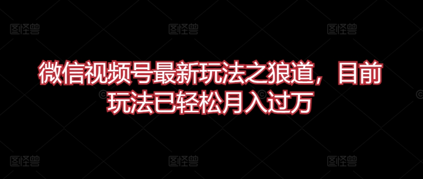 微信视频号最新玩法之狼道，目前玩法已轻松月入过万【揭秘】-大兵轻创资源库