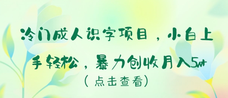 冷门成人识字项目，小白上手轻松，暴力创收月入5w+【揭秘】-大兵轻创资源库