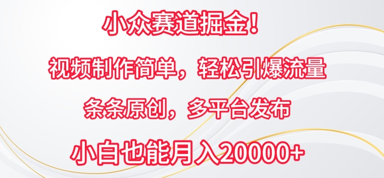 小众赛道掘金，视频制作简单，轻松引爆流量，条条原创，多平台发布【揭秘】-大兵轻创资源库