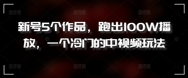 新号5个作品，跑出100W播放，一个冷门的中视频玩法【揭秘】-大兵轻创资源库
