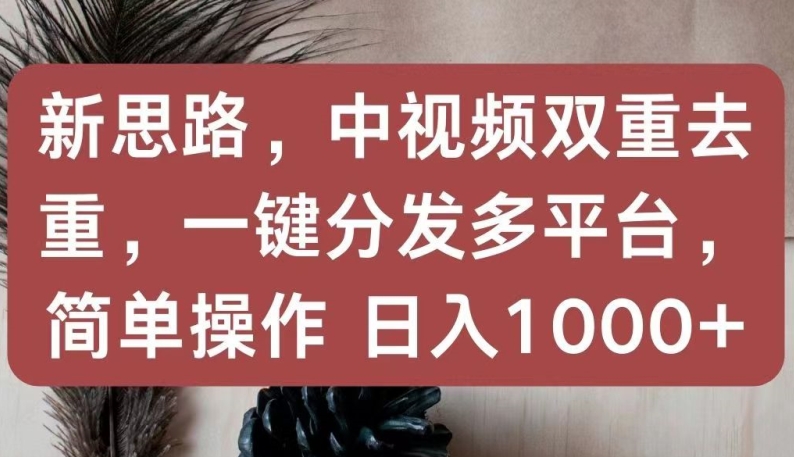 新思路，中视频双重去重，一键分发多平台，简单操作，日入1000+【揭秘】-大兵轻创资源库