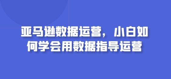 亚马逊数据运营，小白如何学会用数据指导运营-大兵轻创资源库
