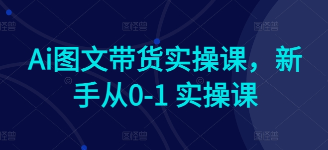 Ai图文带货实操课，新手从0-1 实操课-大兵轻创资源库