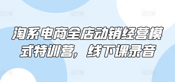 淘系电商全店动销经营模式特训营，线下课录音-大兵轻创资源库