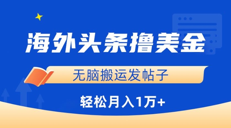 海外头条撸美金，无脑搬运发帖子，月入1万+，小白轻松掌握【揭秘】-大兵轻创资源库
