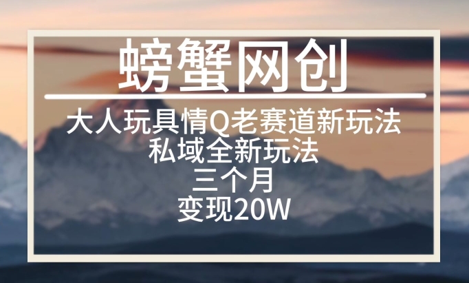 大人玩具情Q用品赛道私域全新玩法，三个月变现20W，老项目新思路【揭秘】-大兵轻创资源库