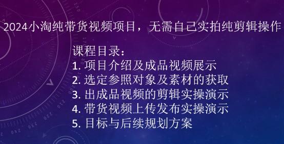 2024小淘纯带货视频项目，无需自己实拍纯剪辑操作-大兵轻创资源库