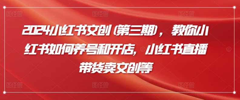 2024小红书文创(第三期)，教你小红书如何养号和开店，小红书直播带货卖文创等-大兵轻创资源库