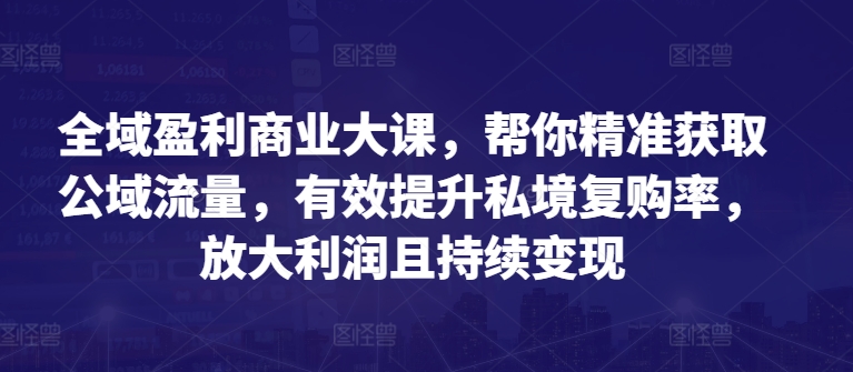 全域盈利商业大课，帮你精准获取公域流量，有效提升私境复购率，放大利润且持续变现-大兵轻创资源库