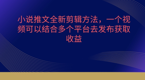 小说推文全新剪辑方法，一个视频可以结合多个平台去发布获取【揭秘】-大兵轻创资源库