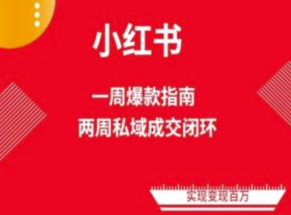 爆款小红书免费流量体系课程(两周变现)，小红书电商教程-大兵轻创资源库