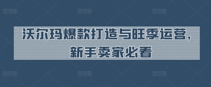 沃尔玛爆款打造与旺季运营，新手卖家必看-大兵轻创资源库