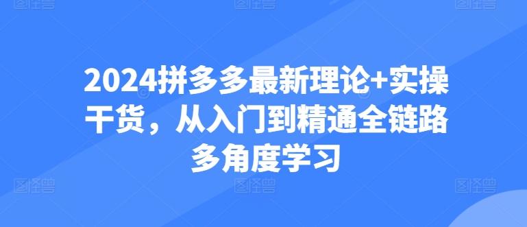 2024拼多多最新理论+实操干货，从入门到精通全链路多角度学习-大兵轻创资源库
