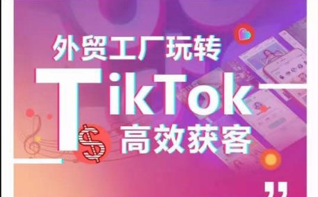 外贸工厂玩转TikTok高效获客，多种引流方式与账号定位技巧，拆解爆款短视频打造成功案例-大兵轻创资源库