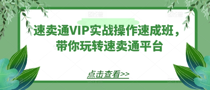 速卖通VIP实战操作速成班，带你玩转速卖通平台-大兵轻创资源库