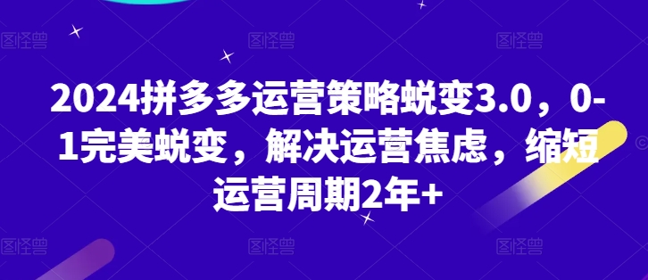 2024拼多多运营策略蜕变3.0，0-1完美蜕变，解决运营焦虑，缩短运营周期2年+-大兵轻创资源库
