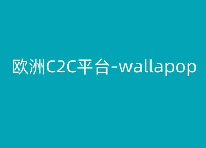 欧洲C2C平台-wallapop-kim跨境电商教程-大兵轻创资源库
