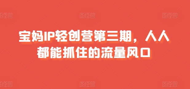 宝妈IP轻创营第三期，人人都能抓住的流量风口-大兵轻创资源库