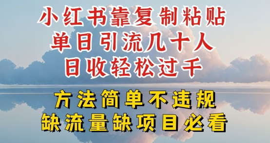 小红书靠复制粘贴单日引流几十人目收轻松过千，方法简单不违规【揭秘】-大兵轻创资源库