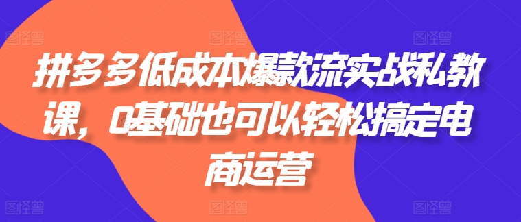 拼多多低成本爆款流实战私教课，0基础也可以轻松搞定电商运营-大兵轻创资源库