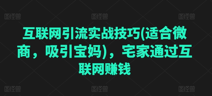 互联网引流实战技巧(适合微商，吸引宝妈)，宅家通过互联网赚钱-大兵轻创资源库