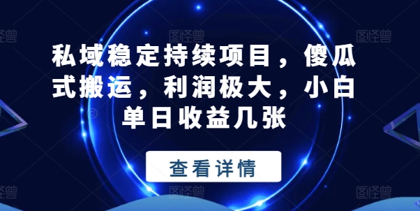 私域稳定持续项目，傻瓜式搬运，利润极大，小白单日收益几张【揭秘】-大兵轻创资源库
