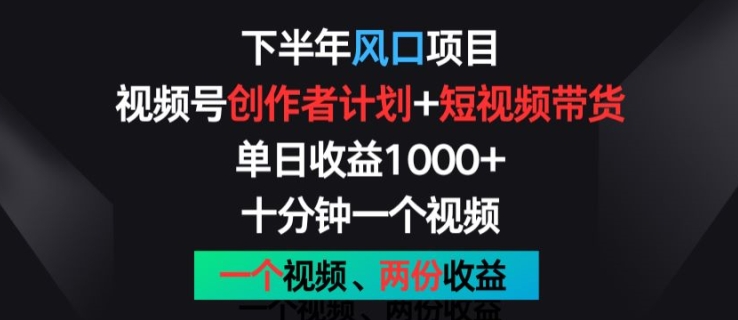 下半年风口项目，视频号创作者计划+视频带货，一个视频两份收益，十分钟一个视频【揭秘】-大兵轻创资源库