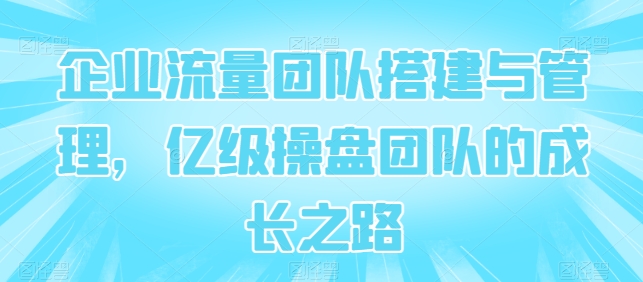 企业流量团队搭建与管理，亿级操盘团队的成长之路-大兵轻创资源库
