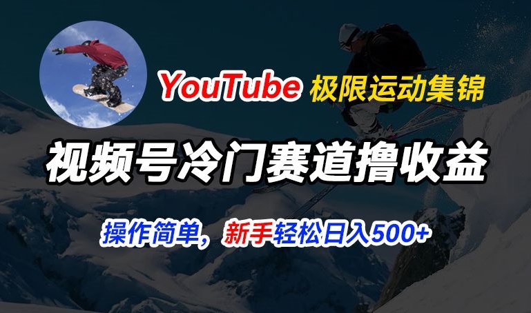 视频号冷门赛道撸收益，YouTube搬运极限运动集锦，暴力起号，操作简单流量高，轻松日入5张【揭秘】-大兵轻创资源库