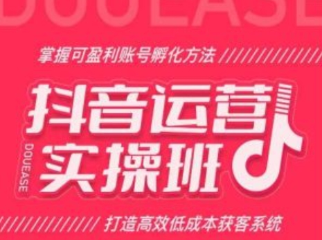 抖音运营实操班，掌握可盈利账号孵化方法，打造高效低成本获客系统-大兵轻创资源库