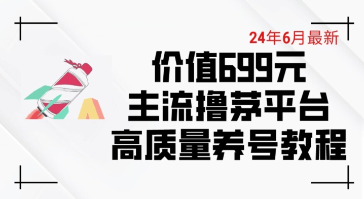 6月最新价值699的主流撸茅台平台精品养号下车攻略【揭秘】-大兵轻创资源库