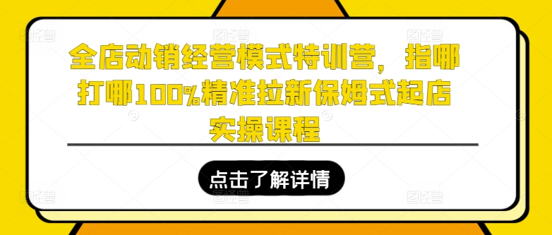 全店动销经营模式特训营，指哪打哪100%精准拉新保姆式起店实操课程-大兵轻创资源库
