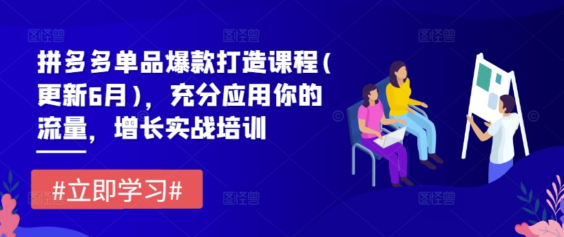 拼多多单品爆款打造课程(更新6月)，充分应用你的流量，增长实战培训-大兵轻创资源库
