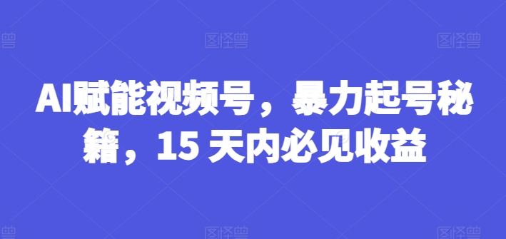AI赋能视频号，暴力起号秘籍，15 天内必见收益【揭秘】-大兵轻创资源库