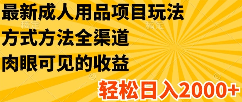 最新成人用品项目玩法，方式方法全渠道，轻松日入2K+【揭秘】-大兵轻创资源库
